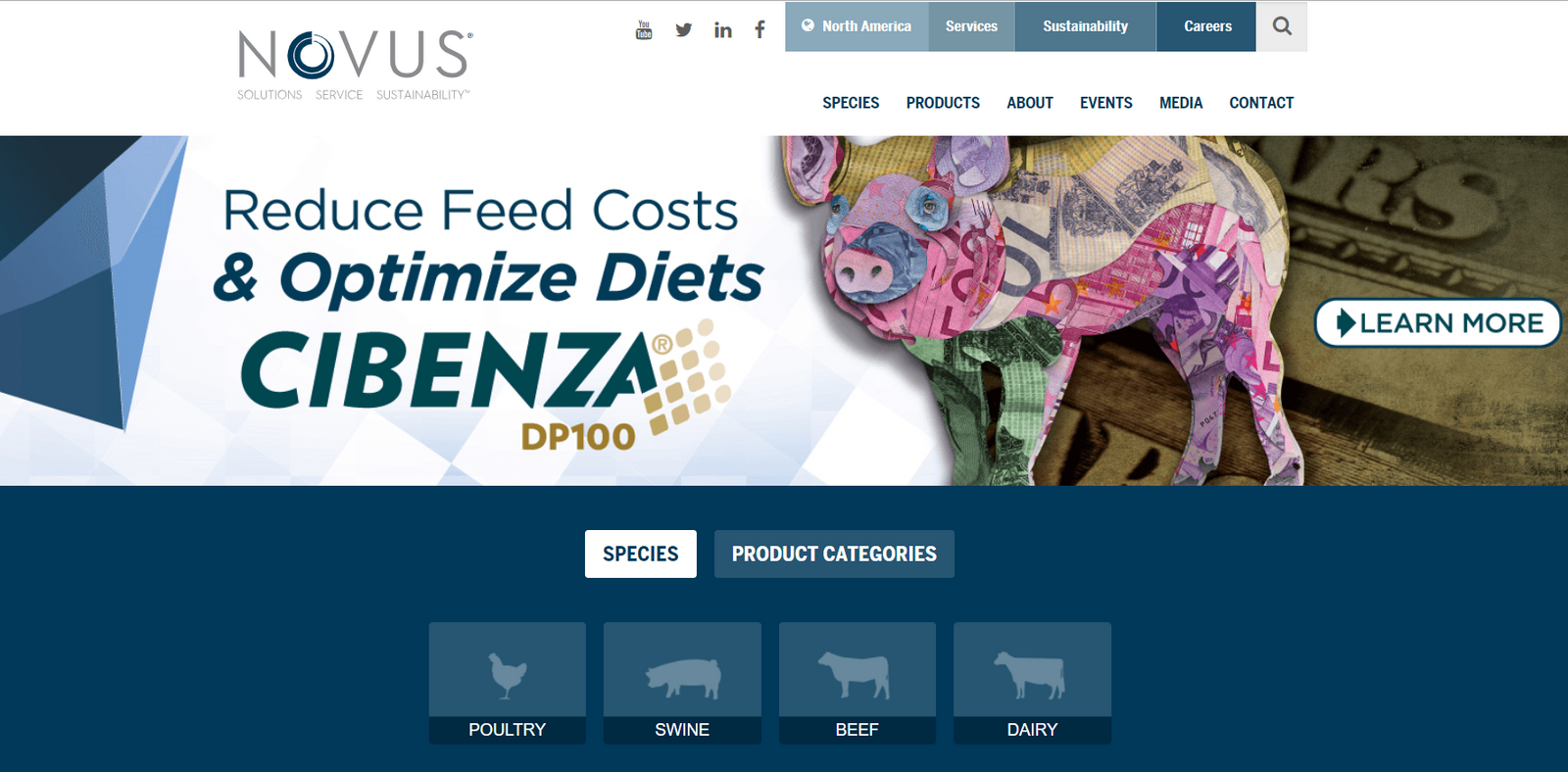 Novus International